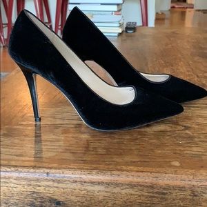 Velvet Black House White Marker pumps size 9